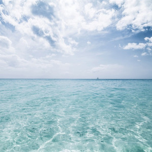 中文字幕第35页
