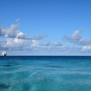 中文字幕第35页
